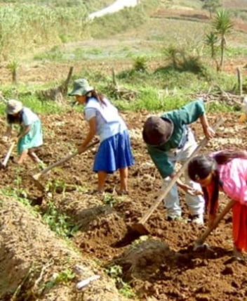 Fortaleciendo nuestras raíces: trabajo en comunidad y respeto por la tierra